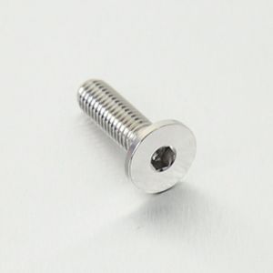 Pro-Bolt rustfritt